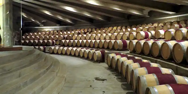 Valle de Colchagua - 16 - Wine Wein Tours Chile